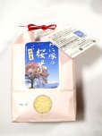 画像1: わに塚の桜米　令和　４年産　 ２kg (1)
