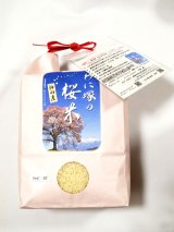 わに塚の桜米　令和　４年産　 ２kg