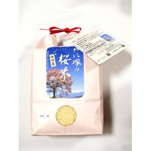 画像: わに塚の桜米　令和　５年産　 ２kg