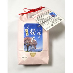 画像: わに塚の桜米　令和　５ 年産　 1.5kg