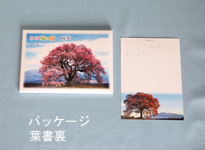 画像: 【わに塚の桜　四季】　絵葉書セット　１２枚組み　フルカラー