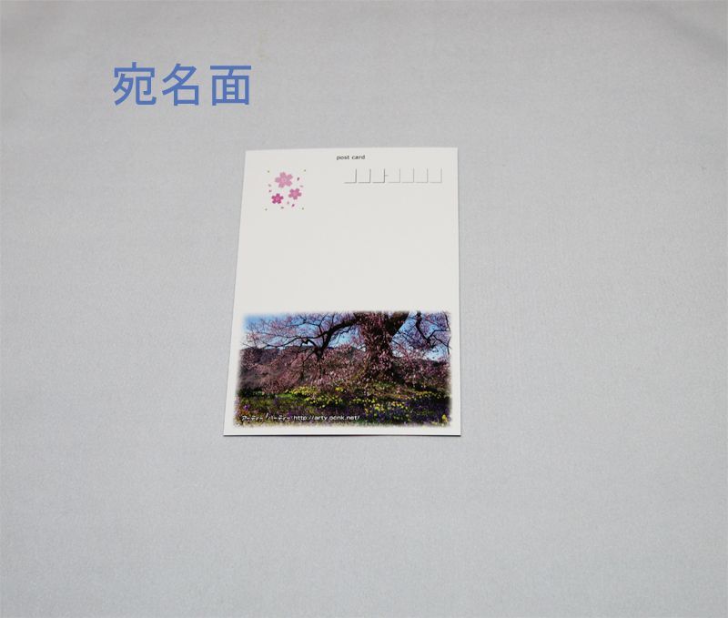 画像: 【わに塚の桜　四季】vol ４　絵葉書セット　１２枚組み　フルカラー